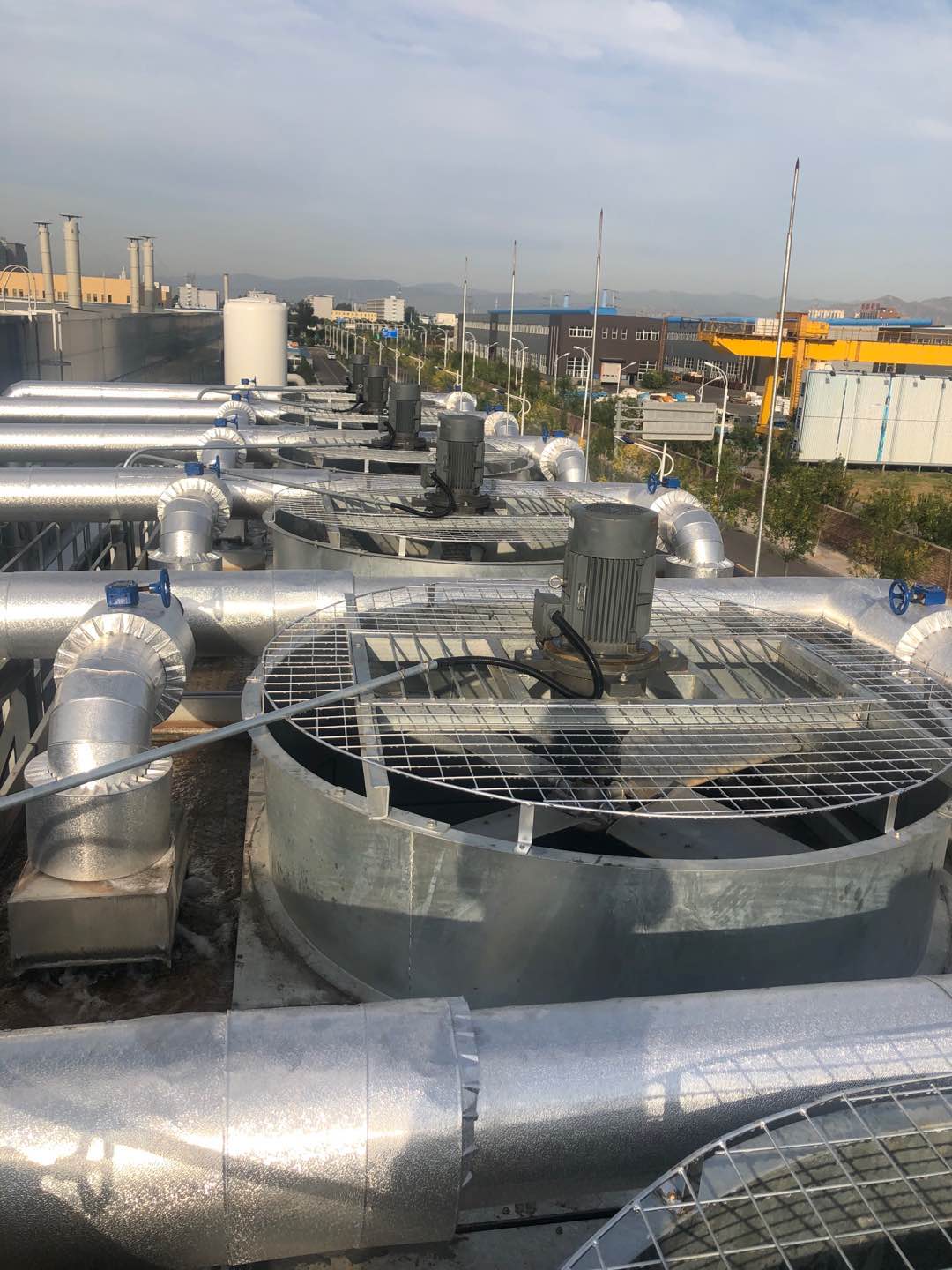 1618637658349919.jpg DLZF.jpg